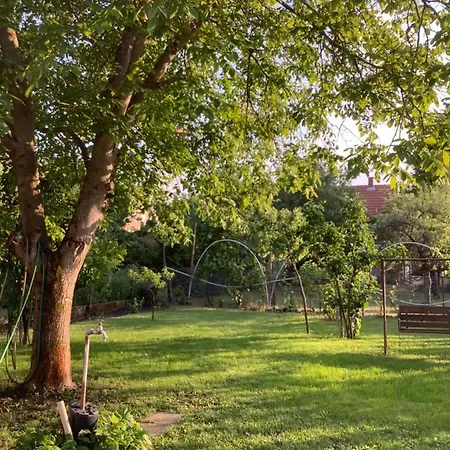 Borcsa Pihenohaz Mezőkövesd