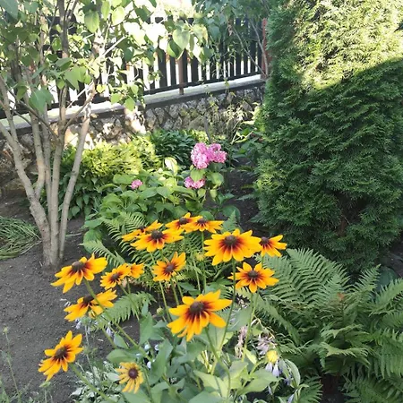 アパート Borcsa Pihenohaz Mezőkövesd